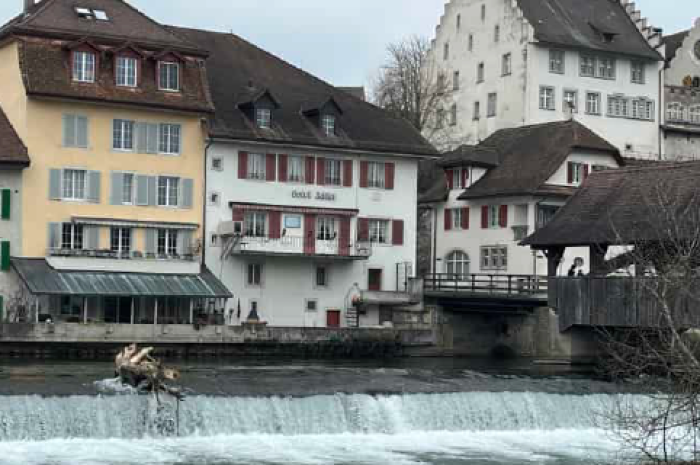 Adler 1